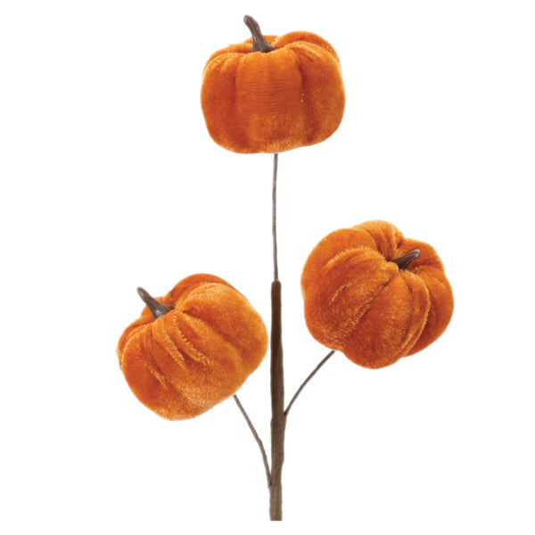 Assorted Pumpkins Pick, INDIVIDUALLY SOLD