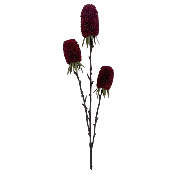 Assorted 29" Banksia Spray, INDIVIDUALLY SOLD