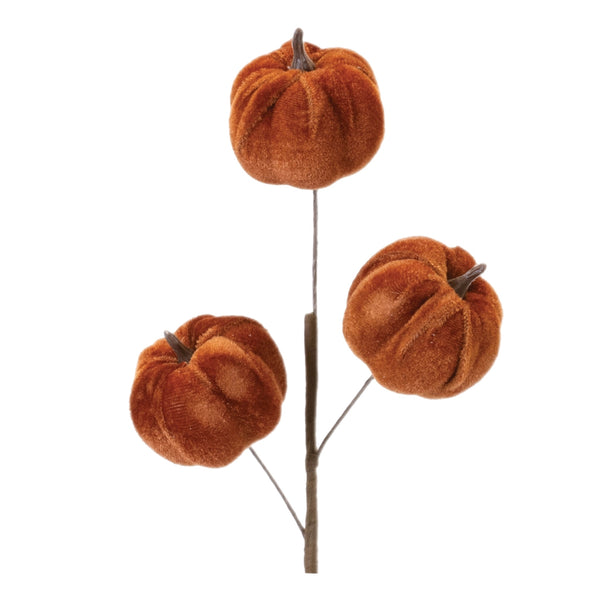 Assorted Pumpkins Pick, INDIVIDUALLY SOLD