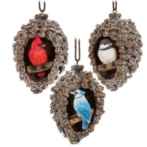 Assorted Bird In Pinecone Ornament, INDIVIDUALLY SOLD
