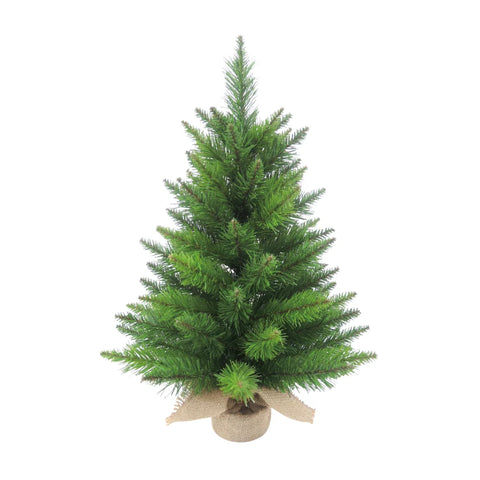 2' Spruce NON LIT