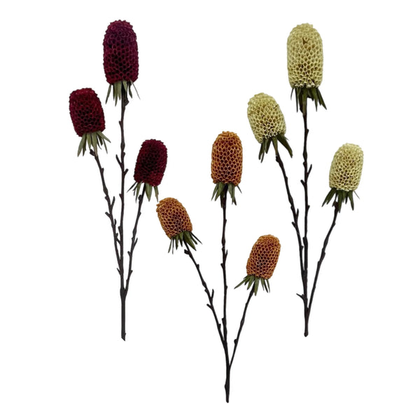 Assorted 29" Banksia Spray, INDIVIDUALLY SOLD