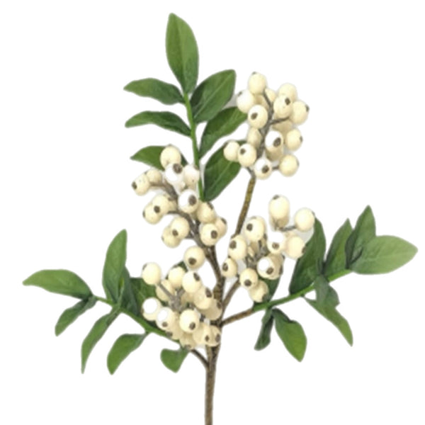 Cream Berry Pick