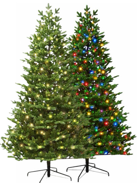 7' Pine PRELIT DUAL Lighting Option