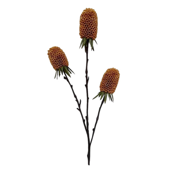 Assorted 29" Banksia Spray, INDIVIDUALLY SOLD