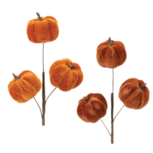 Assorted Pumpkins Pick, INDIVIDUALLY SOLD