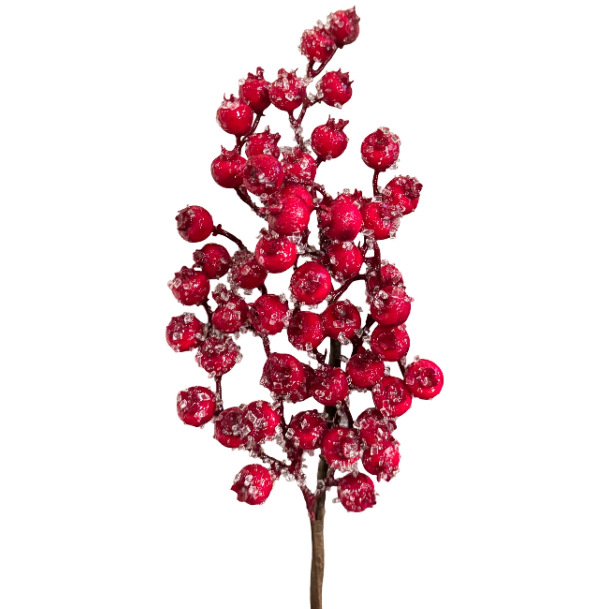 Red Iced Berry Spray