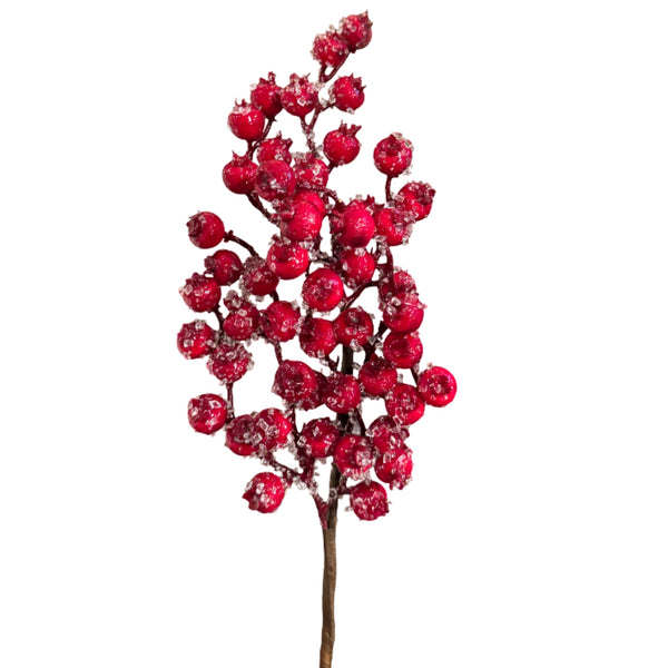 Red Iced Berry Spray