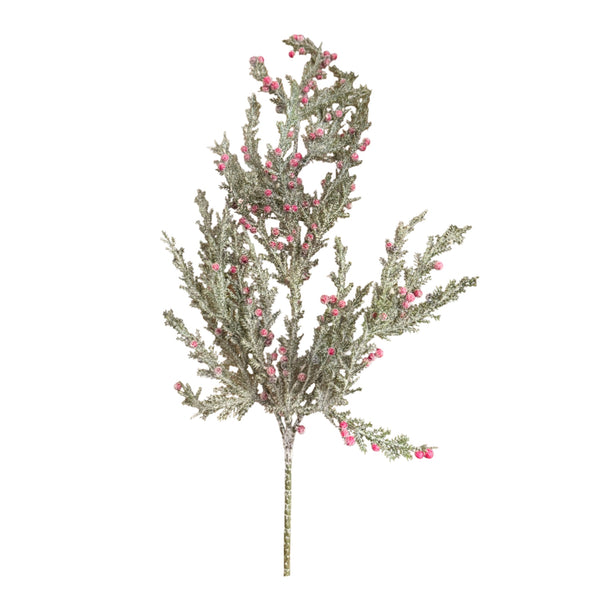 Cedar & Red Berry Spray