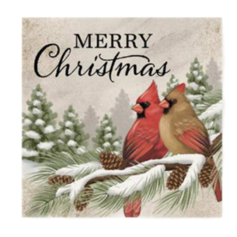 Cardinals Coasters, Set Of 4