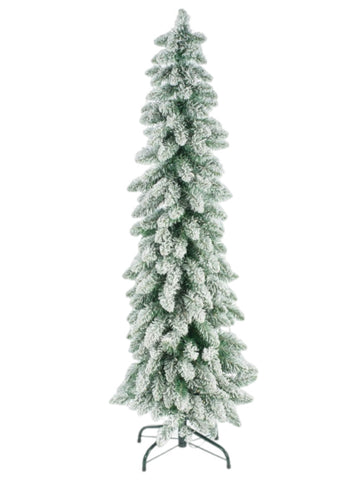 5' Douglas Fir PRELIT CLEAR