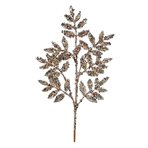 Champagne Ruscus Spray