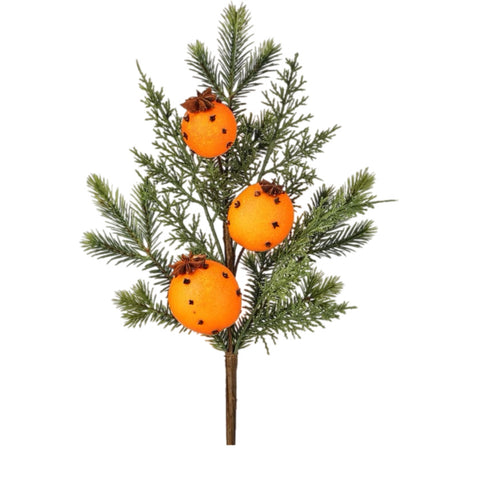 Orange Clove Evergreen Pick