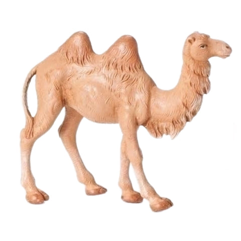 Standing Camel