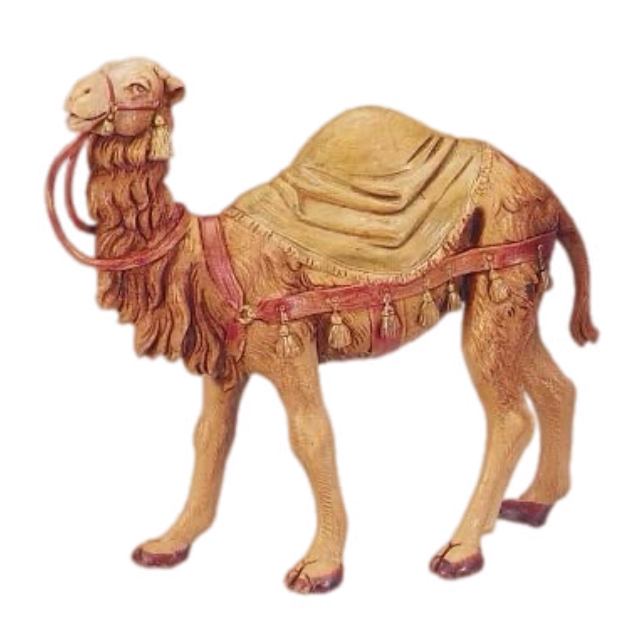 Camel With Blanket