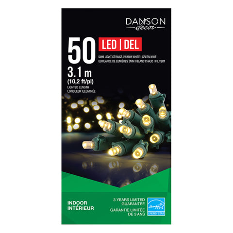 50 Warm Clear LED Mini Lights INDOOR