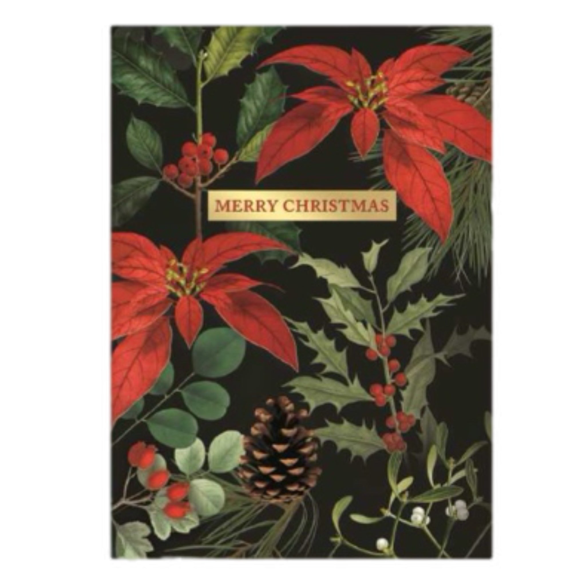 Merry Christmas Poinsettia Christmas Cards, Box Of 12