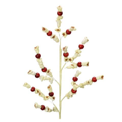 Cranberry And Popcorn Spray