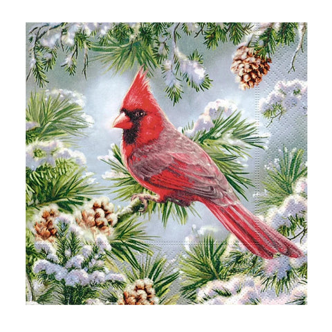 Cardinal Cocktail Napkin