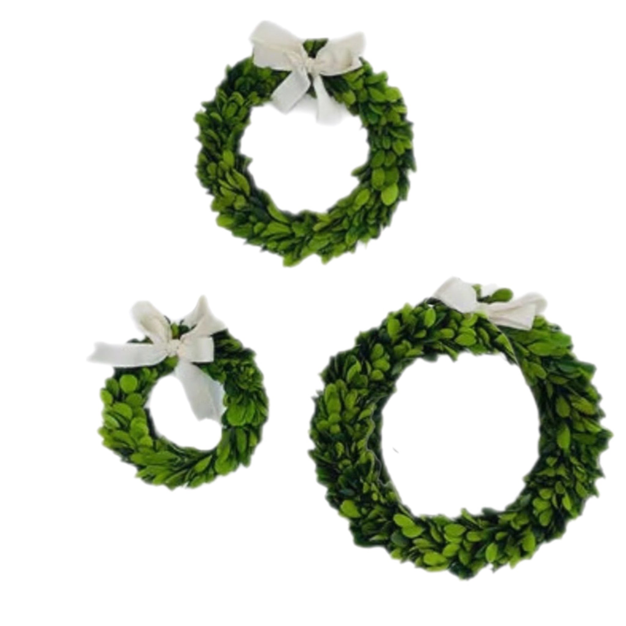 Assorted 9" Boxwood Wreath With Cream Ribbon, INDIVIDUALLY SOLD