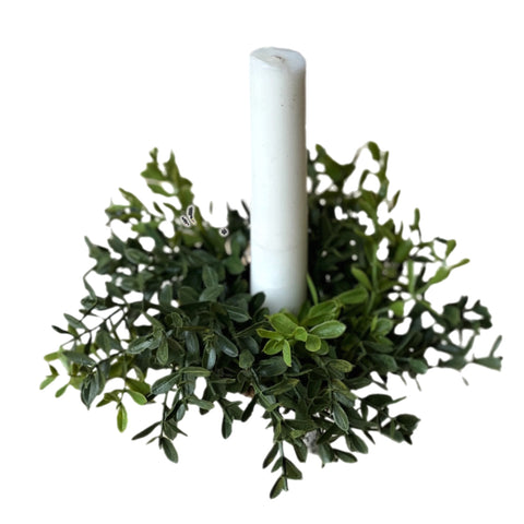 4" Boxwood Taper Candle Ring