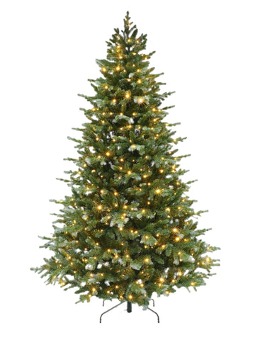 7.5' Albany Fir PRELIT CLEAR