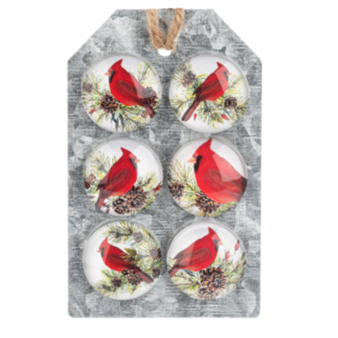 Cardinal Magnet, Set Of 6