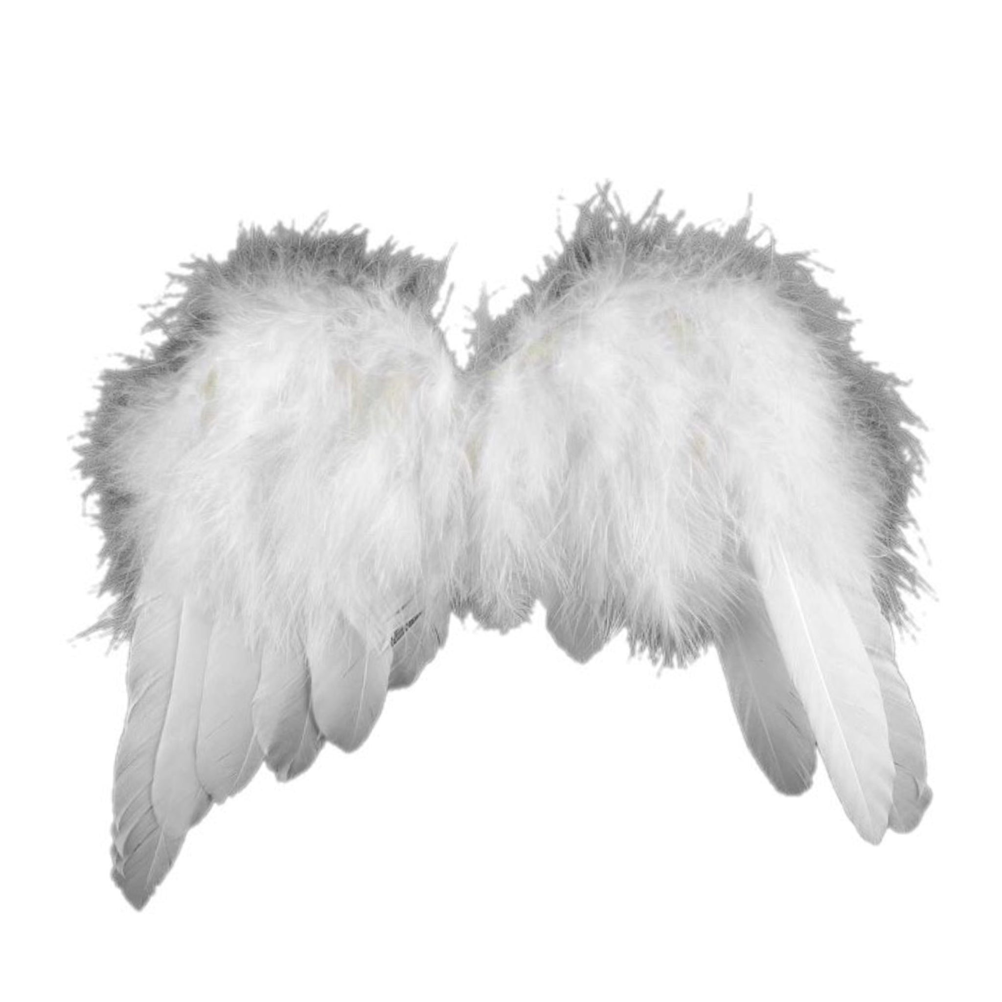 Angel Wings Ornament