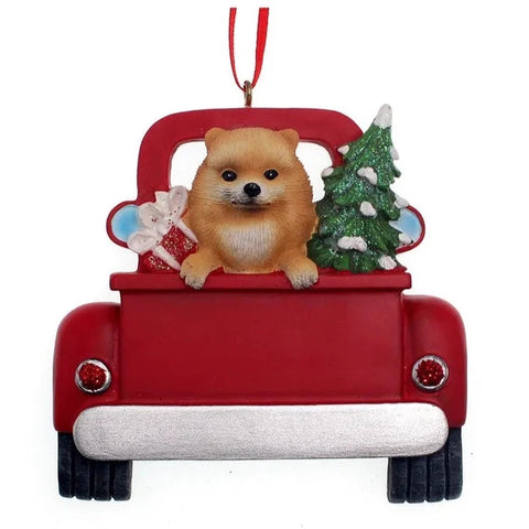 Dog In Truck: Pomeranian