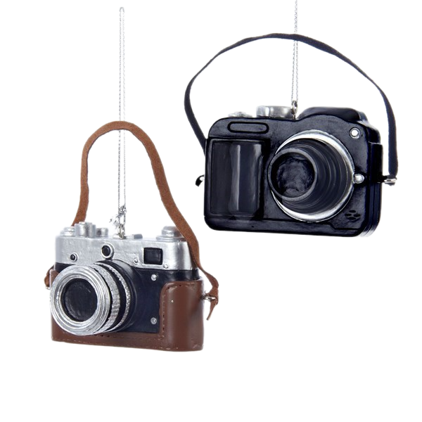 Assorted Camera Ornament, INDIVIDUALLY SOLD