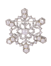 Silver Snowflake Brooch