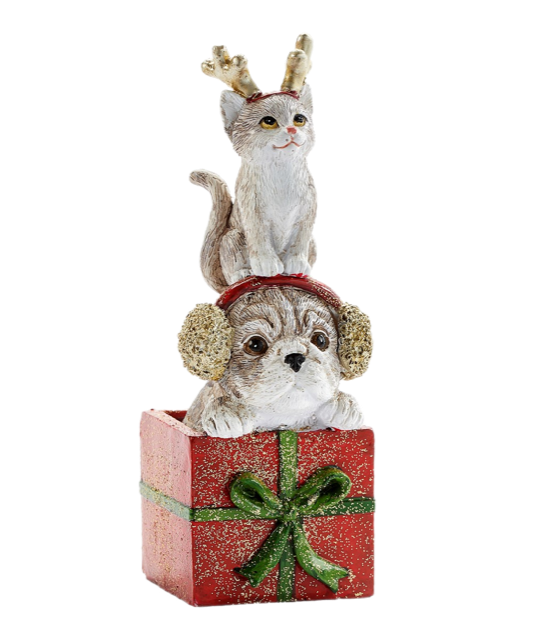 Cat And Dog In Gift Figurine