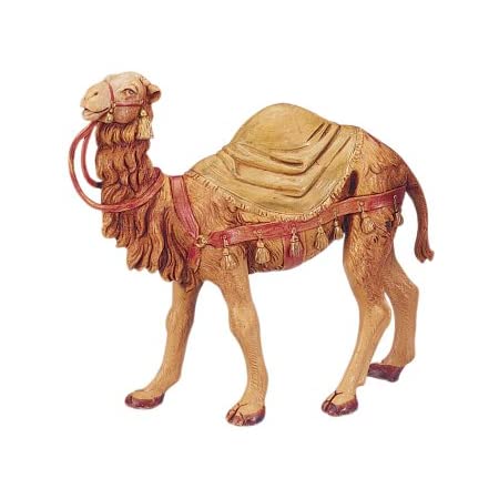 Camel With Blanket