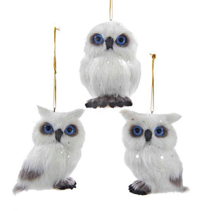 Assorted Owl Ornament, INDIVIDUALLY SOLD