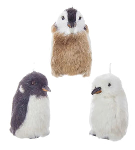 Assorted Penguin Ornament, INDIVIDUALLY SOLD