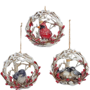 Assorted Birds In Birch Ball Ornament, INDIVIDUALLY SOLD