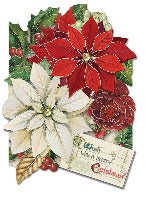 Poinsettia Christmas Cards Box Of 12