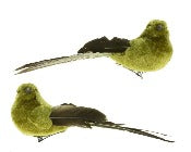 Assorted Green Clip On Bird Ornament, INDIVIDUALLY SOLD