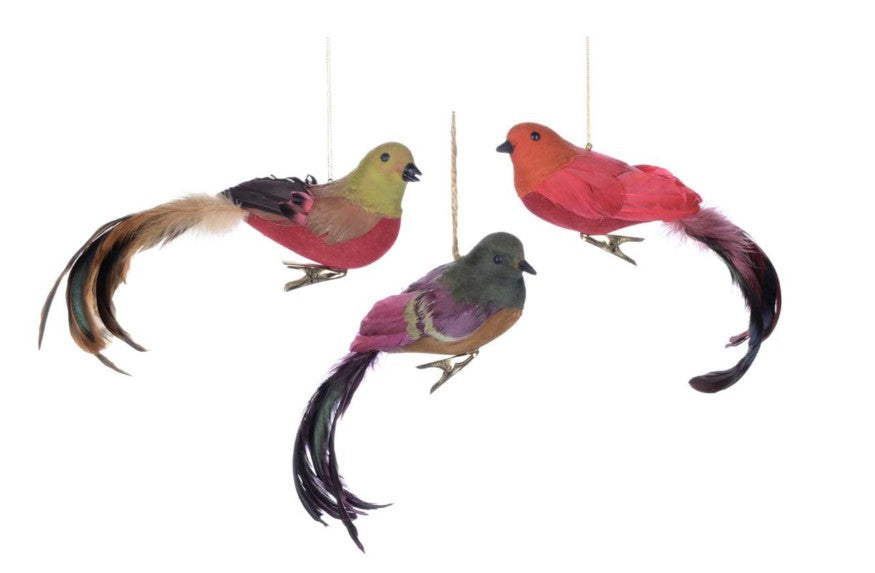 Assorted Clip On Bird Ornament, INDIVIDUALLY SOLD