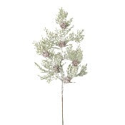 6" Cedar Floral Pick